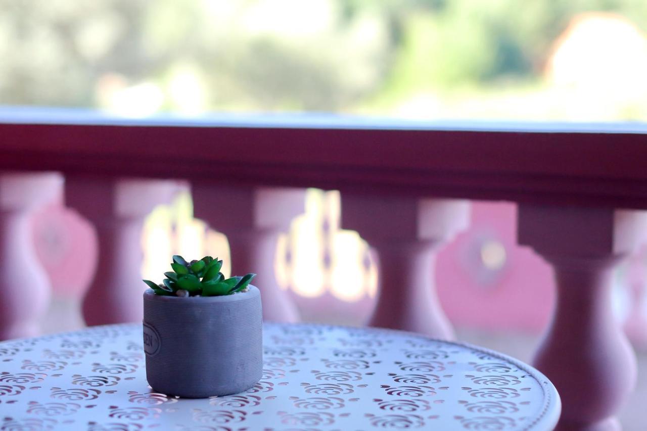 Apartmani Jagoda Bibinje Buitenkant foto