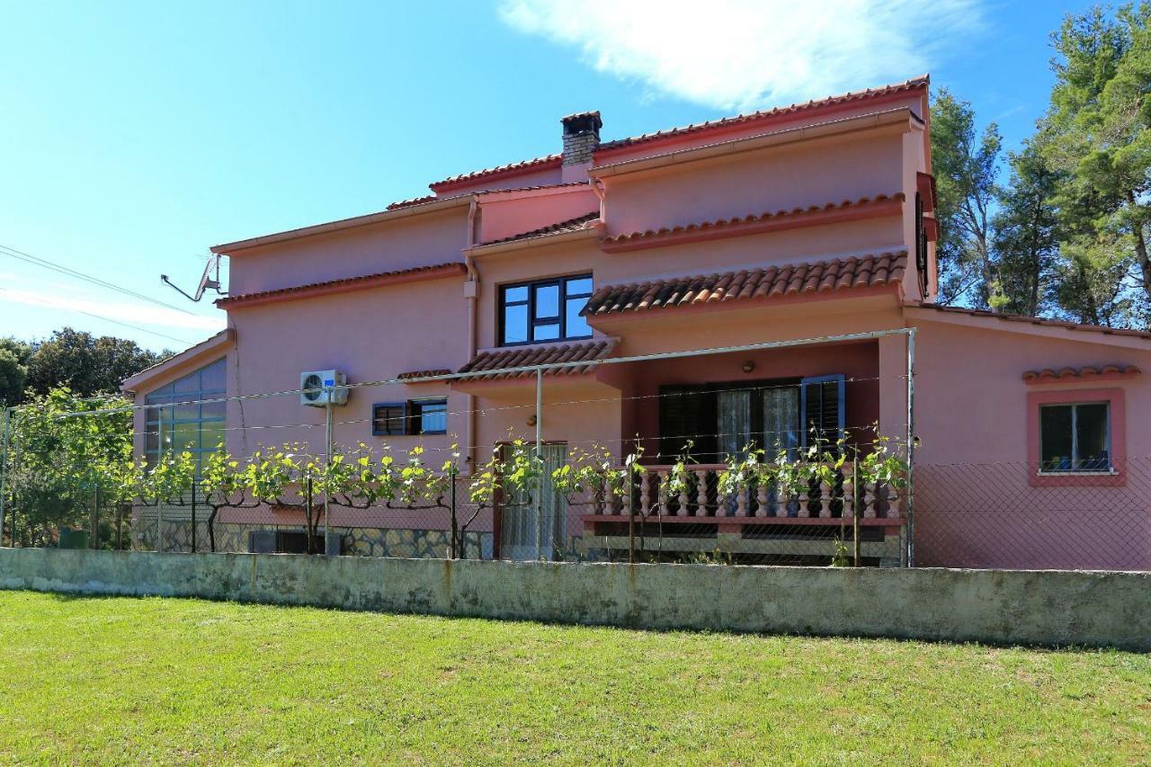 Apartmani Jagoda Bibinje Buitenkant foto